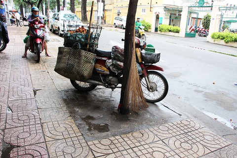 Những bồn cây xanh khốn khổ - Ảnh 9. Những bồn cây xanh khốn khổ - Ảnh 9.