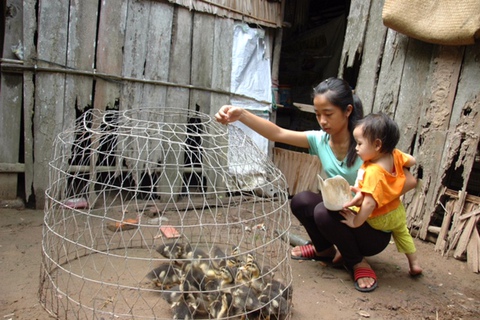 Cô học trò nghèo với nỗi lo không biết khi nào nghỉ học - Ảnh 2. Cô học trò nghèo với nỗi lo không biết khi nào nghỉ học - Ảnh 2.