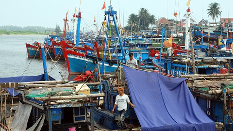 Dừng nhận chìm bùn, thải xuống biển Quảng Ngãi - Ảnh 1. Dừng nhận chìm bùn, thải xuống biển Quảng Ngãi - Ảnh 1.