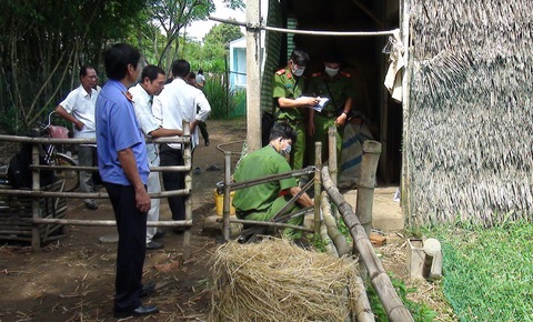 Khởi tố thiếu niên 16 tuổi giết một phụ nữ cướp bông tai - Ảnh 1. Khởi tố thiếu niên 16 tuổi giết một phụ nữ cướp bông tai - Ảnh 1.