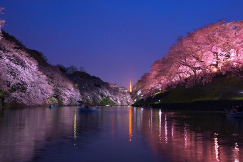 Đi đại thành phố Tokyo chơi gì, ăn gì, mua gì? - Ảnh 15. Đi đại thành phố Tokyo chơi gì, ăn gì, mua gì? - Ảnh 15.