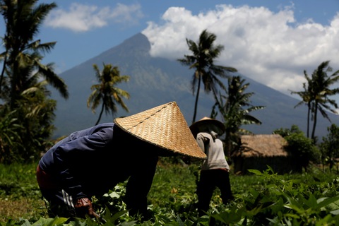 Bali hồi hộp chờ núi lửa phun trào - Ảnh 11. Bali hồi hộp chờ núi lửa phun trào - Ảnh 11.