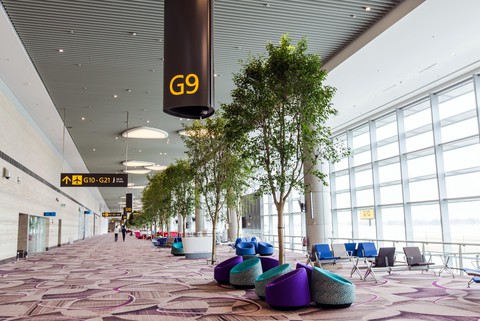 Vietnam Airlines chuyển nhà ga khai thác tại Singapore - Ảnh 1. Vietnam Airlines chuyển nhà ga khai thác tại Singapore - Ảnh 1.