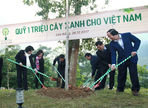 Vinamilk tài trợ 80.722 cây xanh cho khu di tích Pác Bó Cao Bằng - Ảnh 1. Vinamilk tài trợ 80.722 cây xanh cho khu di tích Pác Bó Cao Bằng - Ảnh 1.