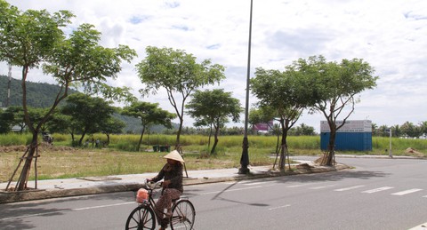 Cấp đất sai, Đà Nẵng gặp doanh nghiệp để tìm cách gỡ - Ảnh 2. Cấp đất sai, Đà Nẵng gặp doanh nghiệp để tìm cách gỡ - Ảnh 2.