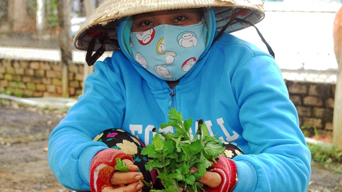 Người miền Tây rầu rĩ nhìn hoa Tết hư hỏng vì mưa dầm - Ảnh 4. Người miền Tây rầu rĩ nhìn hoa Tết hư hỏng vì mưa dầm - Ảnh 4.