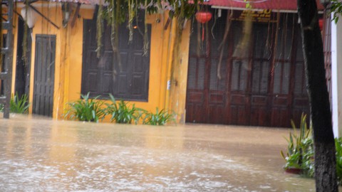 Lũ lên nhanh, phố cổ Hội An bị chia cắt - Ảnh 9. Lũ lên nhanh, phố cổ Hội An bị chia cắt - Ảnh 9.