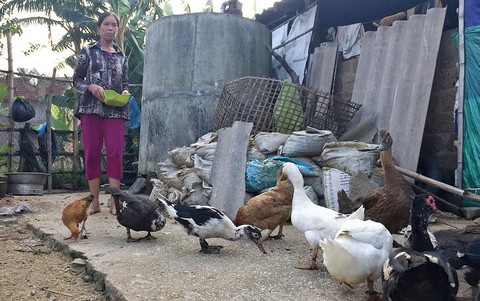 Trường hợp cô giáo lương hưu 1,3 triệu không hi hữu - Ảnh 1. Trường hợp cô giáo lương hưu 1,3 triệu không hi hữu - Ảnh 1.