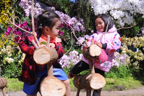Đà Lạt nắng gắt, du khách đổ về Festival hoa - Ảnh 3. Đà Lạt nắng gắt, du khách đổ về Festival hoa - Ảnh 3.