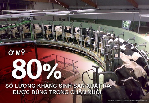 Tìm ra vũ khí chống vi khuẩn kháng thuốc - Ảnh 4. Tìm ra vũ khí chống vi khuẩn kháng thuốc - Ảnh 4.