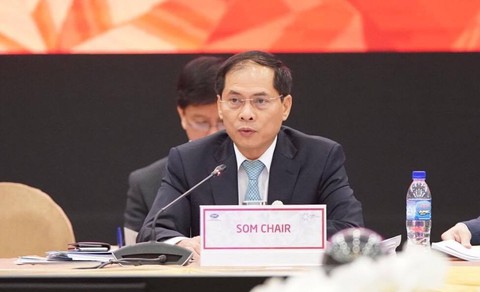 Tuần lễ cấp cao APEC chính thức khai mạc tại Đà Nẵng - Ảnh 2. Tuần lễ cấp cao APEC chính thức khai mạc tại Đà Nẵng - Ảnh 2.