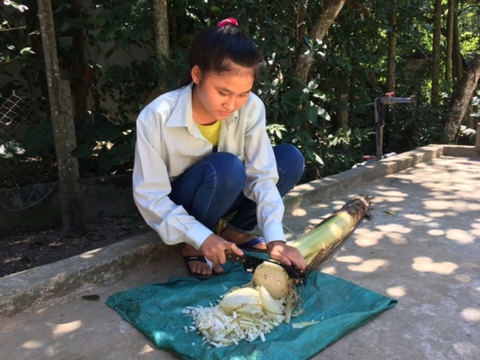 Cô bé chở nước cơm mồ côi cha, 8 năm liền học giỏi - Ảnh 1. Cô bé chở nước cơm mồ côi cha, 8 năm liền học giỏi - Ảnh 1.