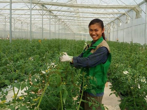 Học thật cao để về làm nông thật giỏi - Ảnh 3. Học thật cao để về làm nông thật giỏi - Ảnh 3.