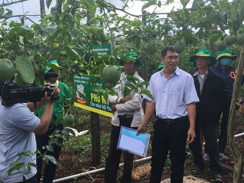 Tăng lợi nhuận từ cây chanh dây nhờ chọn phân bón phù hợp - Ảnh 2. Tăng lợi nhuận từ cây chanh dây nhờ chọn phân bón phù hợp - Ảnh 2.