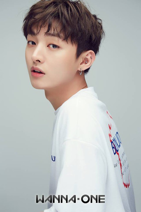 Wanna One: Con đường tỏa sáng đầy chông gai - Ảnh 1. Wanna One: Con đường tỏa sáng đầy chông gai - Ảnh 1.