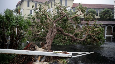 Bão Irma trút cơn thịnh nộ xuống Florida - Ảnh 7. Bão Irma trút cơn thịnh nộ xuống Florida - Ảnh 7.