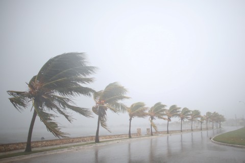 Cuộc di tản tránh bão lớn nhất trong lịch sử bang Florida - Ảnh 1. Cuộc di tản tránh bão lớn nhất trong lịch sử bang Florida - Ảnh 1.