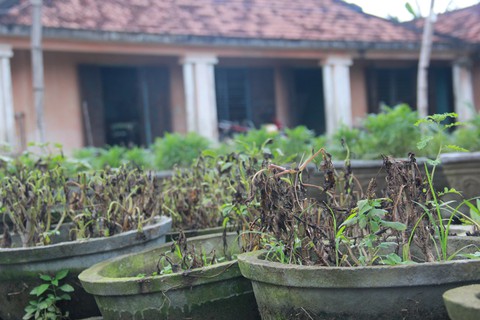 Tuổi Trẻ đưa hàng cứu trợ đến vùng lũ Bình Sơn - Quảng Ngãi - Ảnh 9. Tuổi Trẻ đưa hàng cứu trợ đến vùng lũ Bình Sơn - Quảng Ngãi - Ảnh 9.