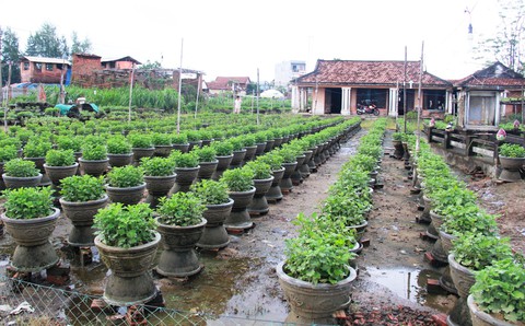 Tuổi Trẻ đưa hàng cứu trợ đến vùng lũ Bình Sơn - Quảng Ngãi - Ảnh 7. Tuổi Trẻ đưa hàng cứu trợ đến vùng lũ Bình Sơn - Quảng Ngãi - Ảnh 7.