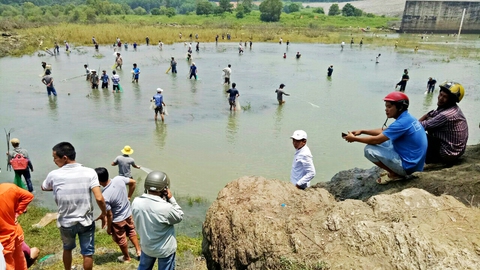 Thủy điện ngưng xả lũ, dân bắt hàng tấn cá khủng - Ảnh 1. Thủy điện ngưng xả lũ, dân bắt hàng tấn cá khủng - Ảnh 1.