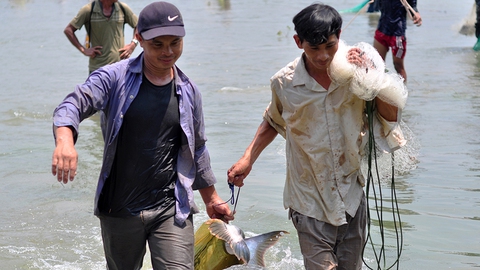 Thủy điện ngưng xả lũ, dân bắt hàng tấn cá khủng - Ảnh 4. Thủy điện ngưng xả lũ, dân bắt hàng tấn cá khủng - Ảnh 4.