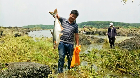 Thủy điện ngưng xả lũ, dân bắt hàng tấn cá khủng - Ảnh 6. Thủy điện ngưng xả lũ, dân bắt hàng tấn cá khủng - Ảnh 6.
