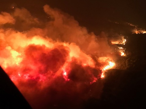 Cháy rừng California làm 21 người thiệt mạng, thiêu rụi hàng ngàn căn nhà - Ảnh 3. Cháy rừng California làm 21 người thiệt mạng, thiêu rụi hàng ngàn căn nhà - Ảnh 3.