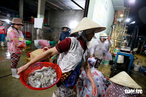 Tranh thủ kiếm sống ở cảng Phan Rang trước giờ bão đổ bộ - Ảnh 9. Tranh thủ kiếm sống ở cảng Phan Rang trước giờ bão đổ bộ - Ảnh 9.