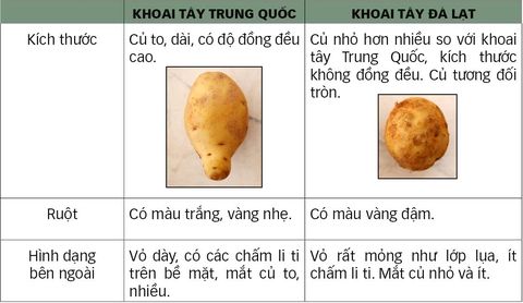Thâm nhập “xưởng” làm giả khoai tây Trung Quốc thành Đà Lạt - Ảnh 4. Thâm nhập “xưởng” làm giả khoai tây Trung Quốc thành Đà Lạt - Ảnh 4.