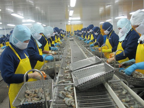 Xuất khẩu tôm của Việt Nam giảm ở nhiều thị trường vì giá cao - Ảnh 1. Xuất khẩu tôm của Việt Nam giảm ở nhiều thị trường vì giá cao - Ảnh 1.