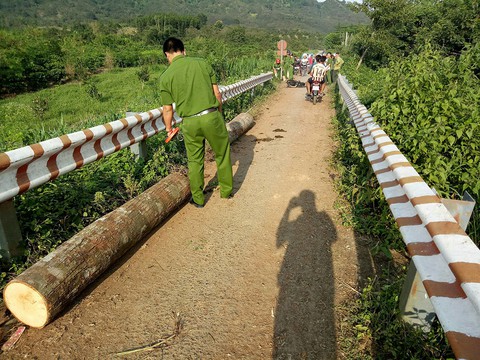 Bị phát hiện chở gỗ lậu, lâm tặc tự đốt xe tẩu thoát - Ảnh 2. Bị phát hiện chở gỗ lậu, lâm tặc tự đốt xe tẩu thoát - Ảnh 2.