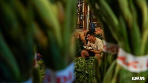 Chợ hoa lớn nhất Sài Gòn hối hả trước ngày 20-10 - Ảnh 14. Chợ hoa lớn nhất Sài Gòn hối hả trước ngày 20-10 - Ảnh 14.