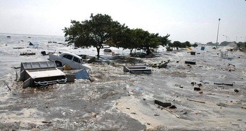 Gặp thảm họa, vì sao nhiều người đứng chết trân? - Ảnh 6.