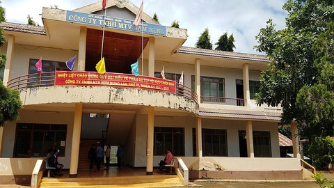 Khai trừ Đảng giám đốc để công ty thua lỗ kéo dài - Ảnh 1. Khai trừ Đảng giám đốc để công ty thua lỗ kéo dài - Ảnh 1.