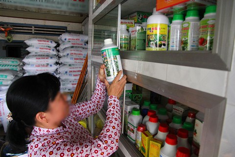 Nông dân lựa chọn mua thuốc bảo vệ thực vật tại một cửa hàng vật tư nông nghiệp ở TP Cần Thơ - Ảnh: CHÍ QUỐC Nông dân lựa chọn mua thuốc bảo vệ thực vật tại một cửa hàng vật tư nông nghiệp ở TP Cần Thơ - Ảnh: CHÍ QUỐC