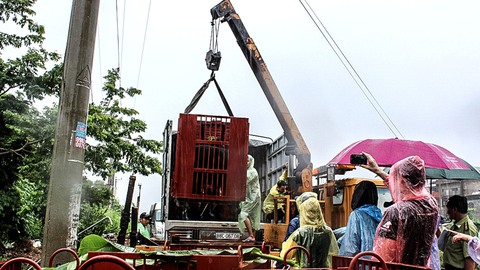 Hồi sinh những chú gấu bị nuôi nhốt lấy mật - Ảnh 8. Hồi sinh những chú gấu bị nuôi nhốt lấy mật - Ảnh 8.