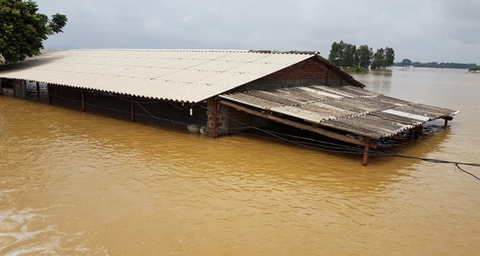 Đê Bùi 2 gặp sự cố, nhấn chìm nhiều hoa màu và nhà dân ở Chương Mỹ - Ảnh 2. Đê Bùi 2 gặp sự cố, nhấn chìm nhiều hoa màu và nhà dân ở Chương Mỹ - Ảnh 2.