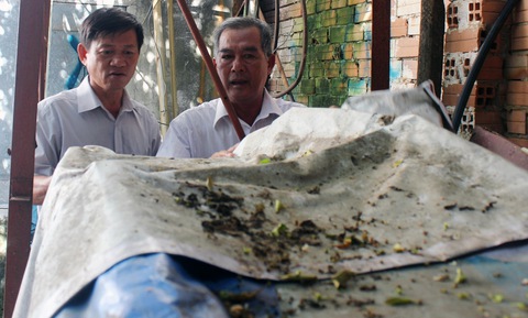 Đồng Nai khẩn trương chống dịch sốt xuất huyết, tay chân miệng - Ảnh 2. Đồng Nai khẩn trương chống dịch sốt xuất huyết, tay chân miệng - Ảnh 2.