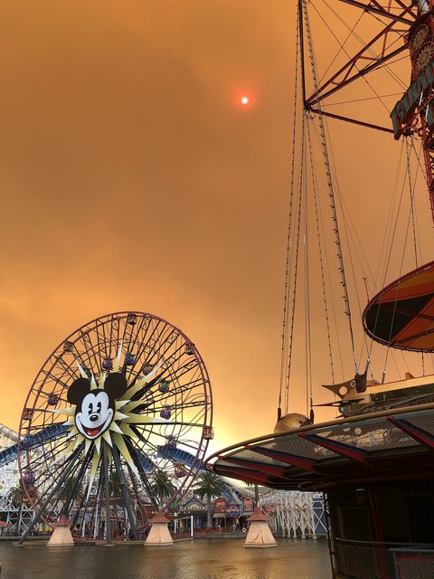 Cháy rừng khiến trời công viên Disneyland như trong phim ma - Ảnh 3. Cháy rừng khiến trời công viên Disneyland như trong phim ma - Ảnh 3.