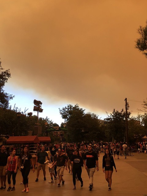 Cháy rừng khiến trời công viên Disneyland như trong phim ma - Ảnh 5. Cháy rừng khiến trời công viên Disneyland như trong phim ma - Ảnh 5.