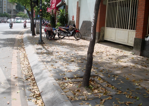Người Sài Gòn sau đêm mưa lớn - Ảnh 1. Người Sài Gòn sau đêm mưa lớn - Ảnh 1.