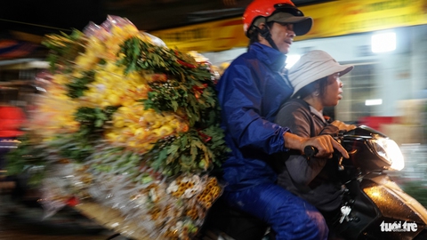 Chợ hoa lớn nhất Sài Gòn hối hả trước ngày 20-10 - Ảnh 5. Chợ hoa lớn nhất Sài Gòn hối hả trước ngày 20-10 - Ảnh 5.