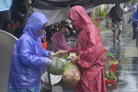 Du khách và người dân cuống cuồng chạy lũ ở Hội An - Ảnh 16. Du khách và người dân cuống cuồng chạy lũ ở Hội An - Ảnh 16.