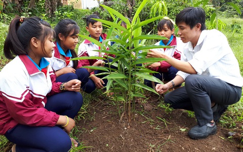 Đưa dược liệu vào trường học - Ảnh 1. Đưa dược liệu vào trường học - Ảnh 1.