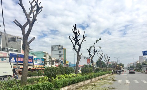 Mở đường và trồng cây xanh từ đất quốc phòng bàn giao TP.HCM - Ảnh 1. Mở đường và trồng cây xanh từ đất quốc phòng bàn giao TP.HCM - Ảnh 1.