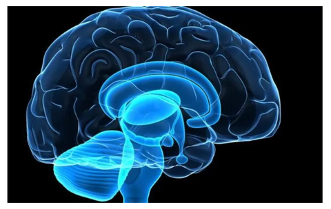 Phát hiện gene liên quan đến đồng tính - Ảnh 2. Phát hiện gene liên quan đến đồng tính - Ảnh 2.