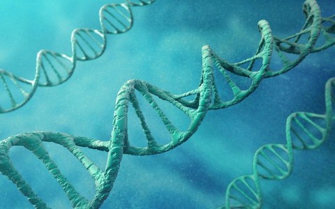 Phát hiện gene liên quan đến đồng tính - Ảnh 1. Phát hiện gene liên quan đến đồng tính - Ảnh 1.