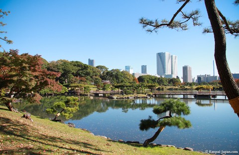 Đến Tokyo đi đâu ăn chơi nhảy múa? - Ảnh 10. Đến Tokyo đi đâu ăn chơi nhảy múa? - Ảnh 10.