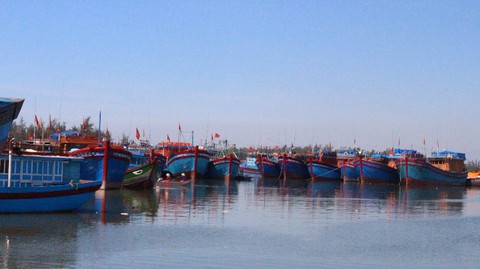 VASEP đề nghị Chính phủ, Quốc hội hỗ trợ giải cứu hải sản - Ảnh 1. VASEP đề nghị Chính phủ, Quốc hội hỗ trợ giải cứu hải sản - Ảnh 1.