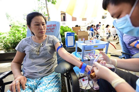 Hướng dương bừng sáng ở Sài Gòn và Hà Nội - Ảnh 6. Hướng dương bừng sáng ở Sài Gòn và Hà Nội - Ảnh 6.